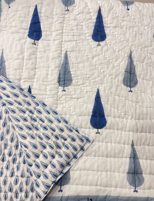 Neel Bagh Collection - Matching Double Bed Quilt & Bedsheet Set